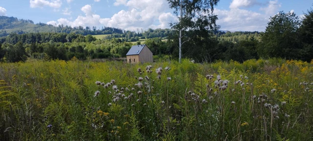 Vila Dom Wsrod Gwiazd Jarnołtówek Exteriér fotografie